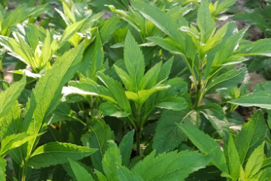 10月鞍山铁西事业编，省情就这11页，抓紧背